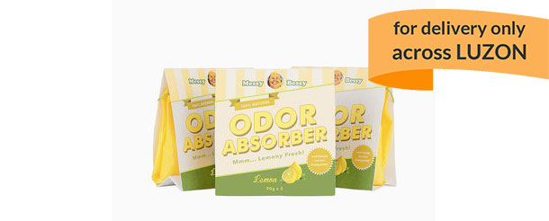 Messy Bessy Odor Absorber Bags 270 g