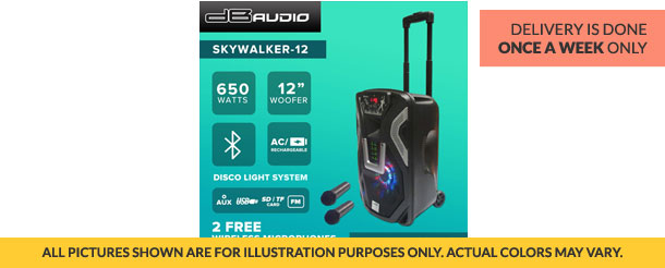 DB Audio Skywalker-12 Portable Mobile Trolley Bluetooth Speaker (12 inch woofer) (650W) [2 FREE Wireless Microphones]