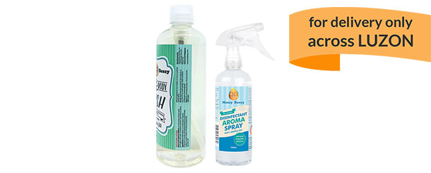 Bundle D - Disinfectant Aroma Spray 500 ml & Hand and Body Wash 500 ml Green Tea