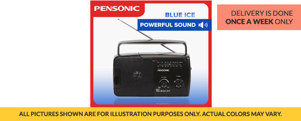 Pensonic Blueice Portable AM/FM Radio