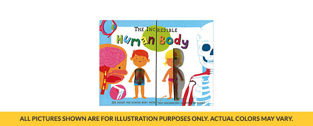 THE INCREDIBLE BOOK-HUMAN BODY